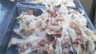 مباحث التموين تضبط 4 طن هياكل دواجن مجهولة المصدر بالجيزة 