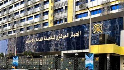 غدًا ..«الإحصاء» يعلن نتائج المسح الصحي للأسرة المصرية 