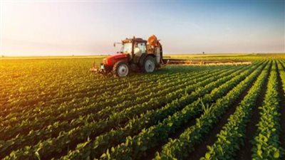 براءة مسئول زراعى من تهمة ضم 114 متر أملاك دولة لمنزله