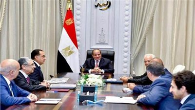 السيسي يبحث تنفيذ مشروع مشترك لإنتاج الكهرباء في مصر ونقلها إلى أوروبا 