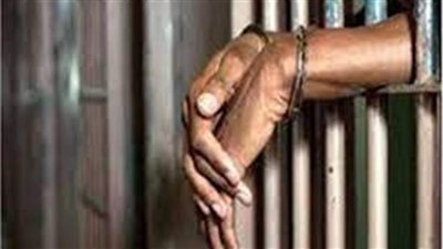 الحبس سنة لمتهم في أحداث الذكرى الثالثة لثورة يناير 