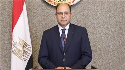 سامح شكري يصدر قرارًا بتعيين السفير أحمد أبو زيد متحدثًا رسميًا باسم «الخارجية»