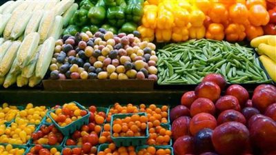 عاجل | الحكومة تكشف حقيقة رفض استقبال شحنات المنتجات الزراعية المصرية بالخارج