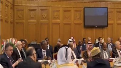 شكري يُشارك بالاجتماع التشاوري للوزراء العرب بالجامعة العربية  