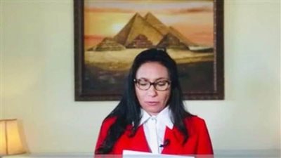 بحث فرص الاستثمار الصيني في مصر