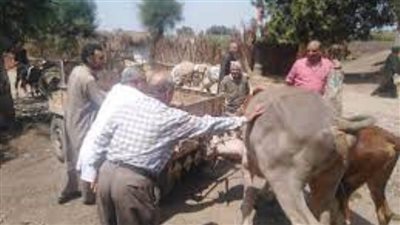 الطب البيطري بالغربية يدشن قافلة للكشف على 329 حيوان و3200 طائر