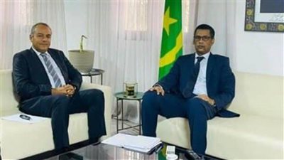 مصر وموريتانيا تتفقان على تجديد البرنامج التنفيذي بين البلدين في التعليم العالي