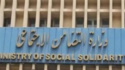 التضامن: 9600 شباب من 80 دولة يرغبون بالتطوع في قمة تغير المناخ بشرم الشيخ