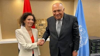 شكري يؤكد أهمية دعم اقتصاديات الدول النامية لمواجهة أزمات الغذاء والطاقة