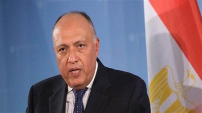 ممثلا عن الرئيس السيسي.. وزير الخارجية يشارك في عشاء عمل استضافه ماكرون بنيويورك