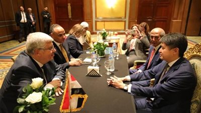 وزير التعليم العالي يبحث آليات التعاون مع مدير عام المُنظمة العالمية للملكية الفكرية (صور)