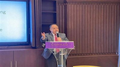 وزير المالية: بالأرقام.. أداء الاقتصاد المصرى جيد ومحفز للاستثمار (صور)