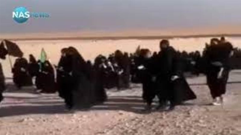 الشورى