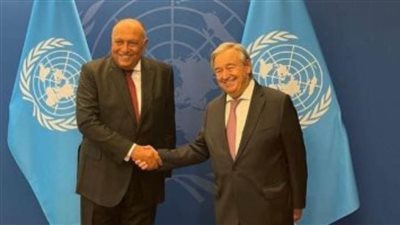 وزير الخارجية يستعرض مع السكرتير العام للأمم المتحدة ملف سد النهضة