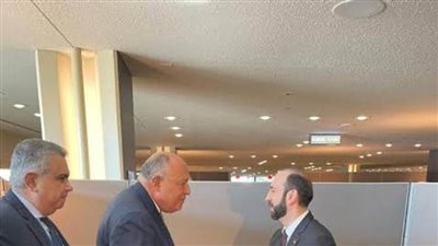 شكري يستعرض الموقف المصري من القضايا الإقليمية والدولية باجتماع نظرائه في عدة دول