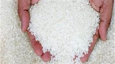 التموين» تتسلم 11 ألف طن أرز.. واستمرار التوريد حتى ديسمبر