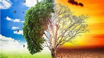 تقرير..التغيرات المناخية وراء انخفاض المحاصيل وإهدار الثروة الحيوانية 