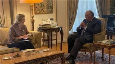 شكري: مصر تحشد الدعم والمساندة الدولية للشعب الفلسطيني الشقيق