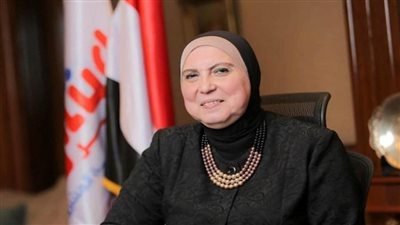 مشروعات شباب المبادرة الرئاسية 