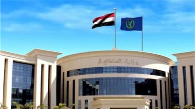 «الداخلية» تكشف ملابسات التعدي على طفلة في المنوفية 