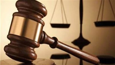 المنيا .. إحالة أوراق المتهم بقتل طفل سمالوط لفضيلة المفتي