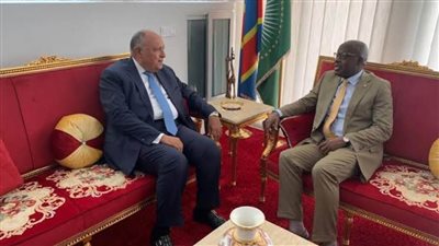 وزير الخارجية يلتقي نظيره الكونغولي على هامش الاجتماع التحضيري لمؤتمر المناخ في كينشاسا