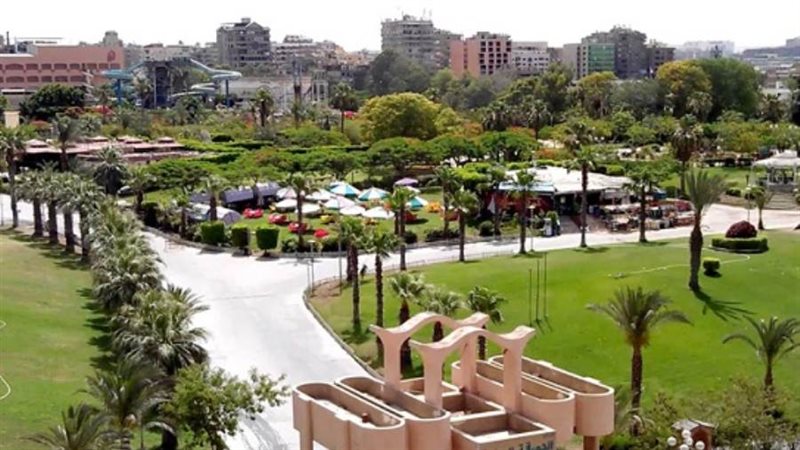 الشورى