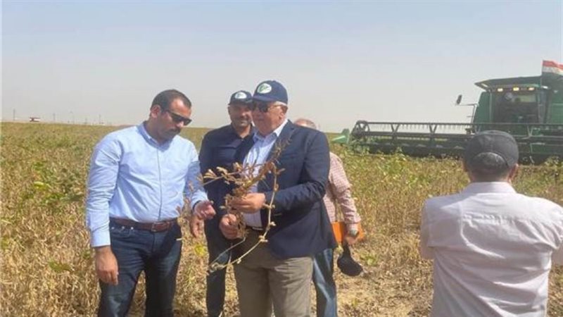 الشورى