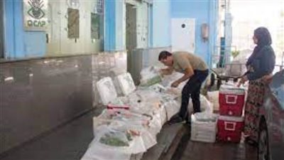 فحص 800 عينة من المنتجات الزراعية للسوق المحلي والتصدير خلال 3 أيام