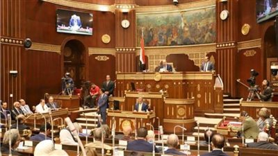 «الشيوخ» يوافق على المادة الأولى من قانون «الأعلى لصناعة السيارات» 