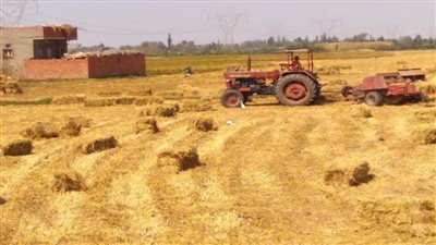  وزيرة البيئة تتابع آخر مستجدات جهود وزارة البيئة للحد من نوبات تلوث الهواء الحادة (صور)