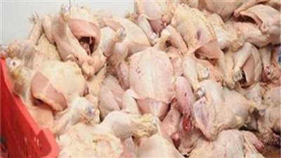 ضبط 4.5 طن بط ودواجن مجمدة مجهولة المصدر بالقليوبية 