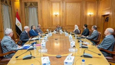 وزير الإنتاج الحربي يستقبل رئيسة شركة 