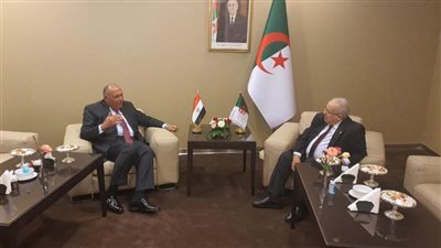 نشاط مكثف لوزير الخارجية على هامش اجتماعات القمة العربية في الجزائر 