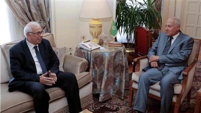 أبو الغيط: قمة الجزائر مهمة في لم الشمل العربي ومواجهة التحديات والتهديدات 