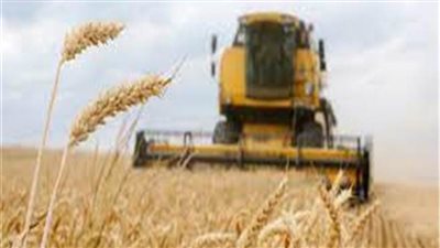 عشماوي: خروج روسيا من اتفاقية توريد الحبوب لن يؤثر على السوق المصري 