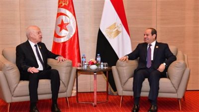 السيسي يؤكد لـ قيس سعيد دعم مصر للإصلاحات والمساعي التنموية في تونس