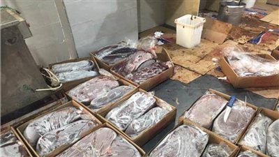 ضبط مخزن مواد غذائية بدون ترخيص في المرج