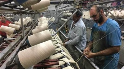 وزارة التخطيط المصرية تعلن عن 4 برامج لدعم الصناعات التحويلية