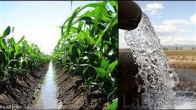 جفاف وفيضانات .. كيف تؤثر التغيرات المناخية على الموارد المائية