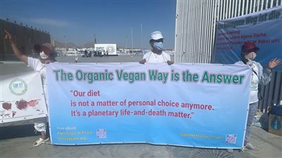 عضو اللجنة المنظمة لـ cop27: قمة المناخ أضافت لنا خبرات كثيرة