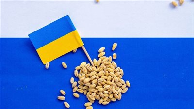 روسيا لم نقرر تمديد اتفاق الحبوب..وأمريكا لـ المزرعين: اطمئنوا