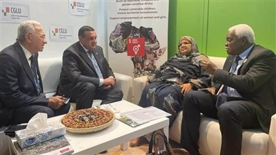 وزير التنمية المحلية يلتقى وفد منظمة المدن والحكومات المحلية الإفريقية على هامش قمة المناخ بشرم الشيخ 