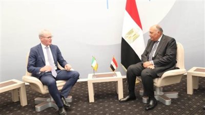  شكري يلتقي نظيره الأيرلندي.. والأخير يؤكد إحياء عملية السلام في فلسطين 