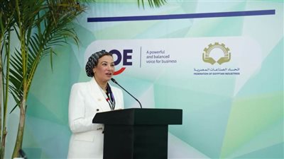 وزيرة البيئة: سنصل إلى 42% من الطاقة المتجددة في عام 2030 