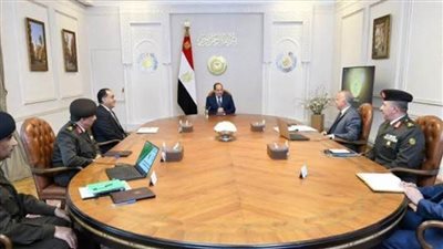  توجيهات عاجلة من الرئيس السيسي بخصوص مشروع توشكى