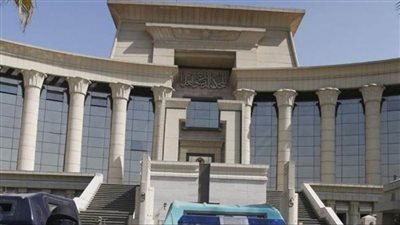 الدستورية تبطل المادة 29 من قانون المهن العلمية