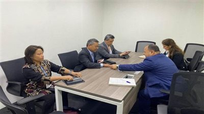 وزير المالية: مستعدون لنقل التجربة المصرية فى بناء المشروعات القومية الكبرى إلى إندونيسيا (صور)