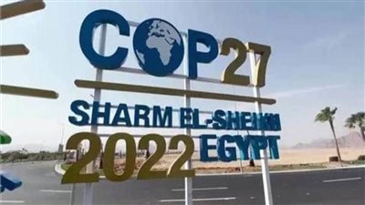 قمة المناخ cop27 تطلق مبادرة جديدة لحماية الشعاب المرجانية بالبحر الأحمر  