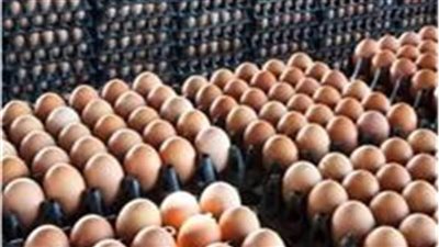 انخفاض جديد لأسعار البيض بالأسواق 
